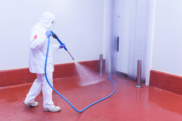 Best Spring Cleaning  in Crugers, NY